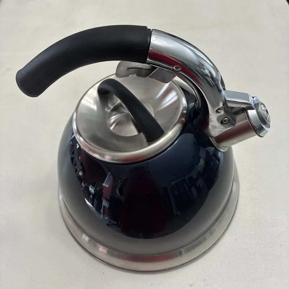 Bergner 1590 Stainless Steel Whistling Tea Kettle 2L Navy/Silver Induction